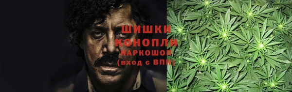 мескалин Арсеньев