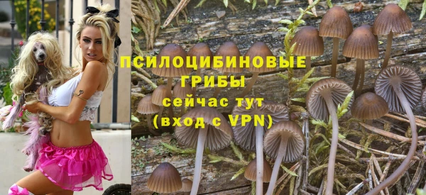 мескалин Арсеньев
