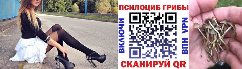 blacksprut ссылки  Кочубеевское  Псилоцибиновые грибы Cubensis  где найти  
